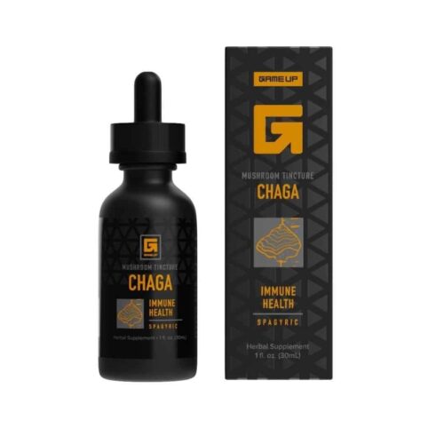 chaga-mushroom-game-up-nutrition